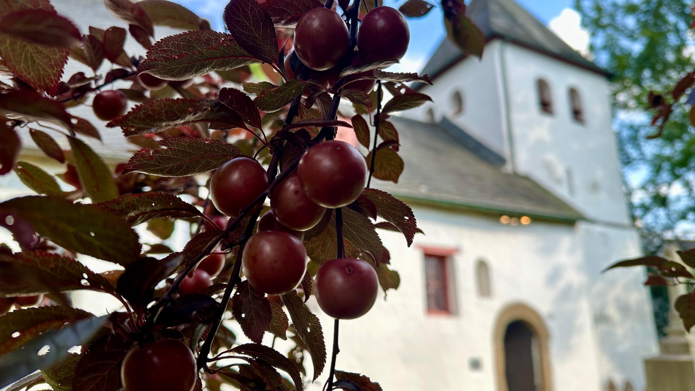 Alte Kirche St. Johann Baptist, Alt-Refrath