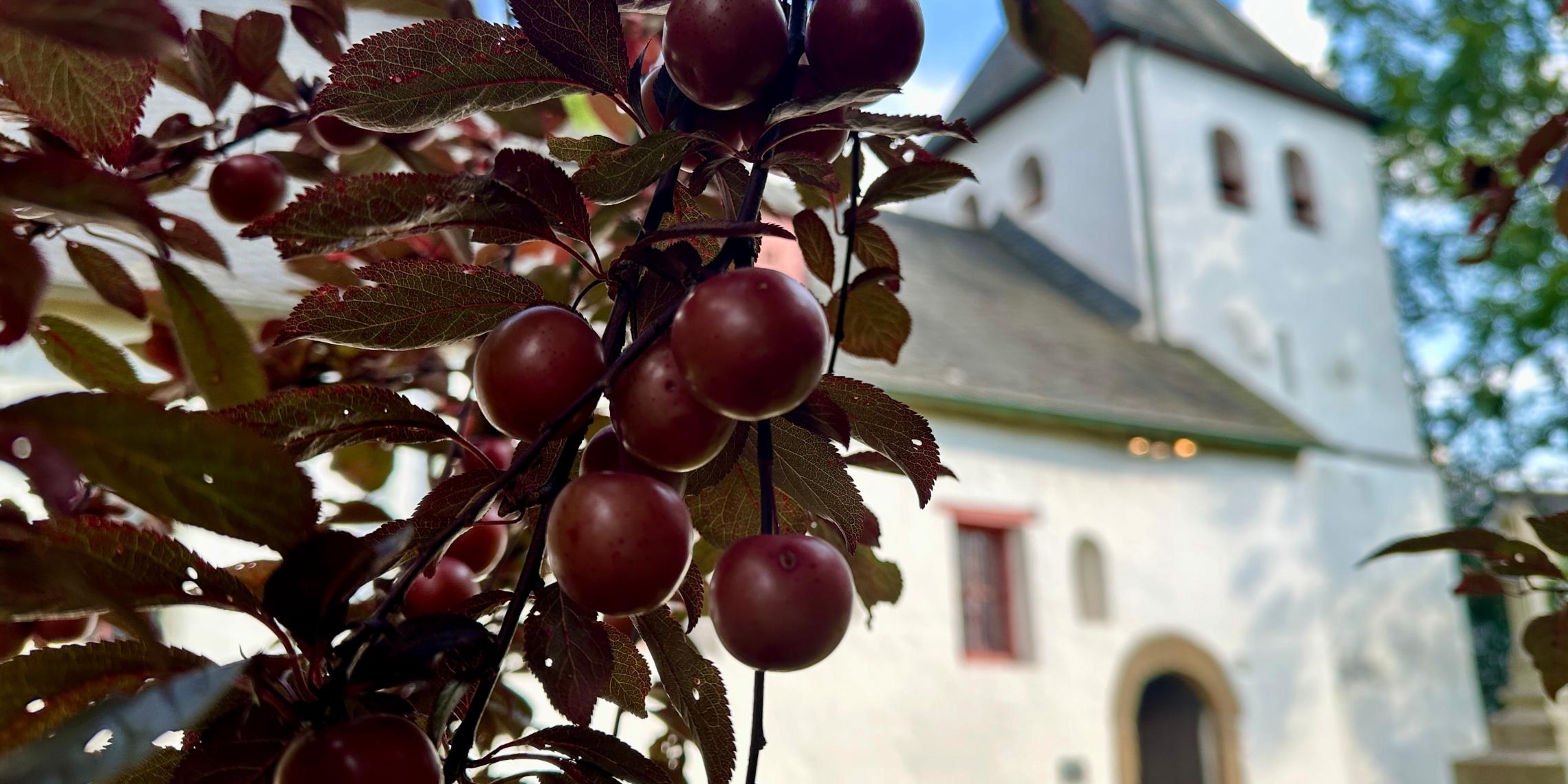 Alte Kirche St. Johann Baptist, Alt-Refrath