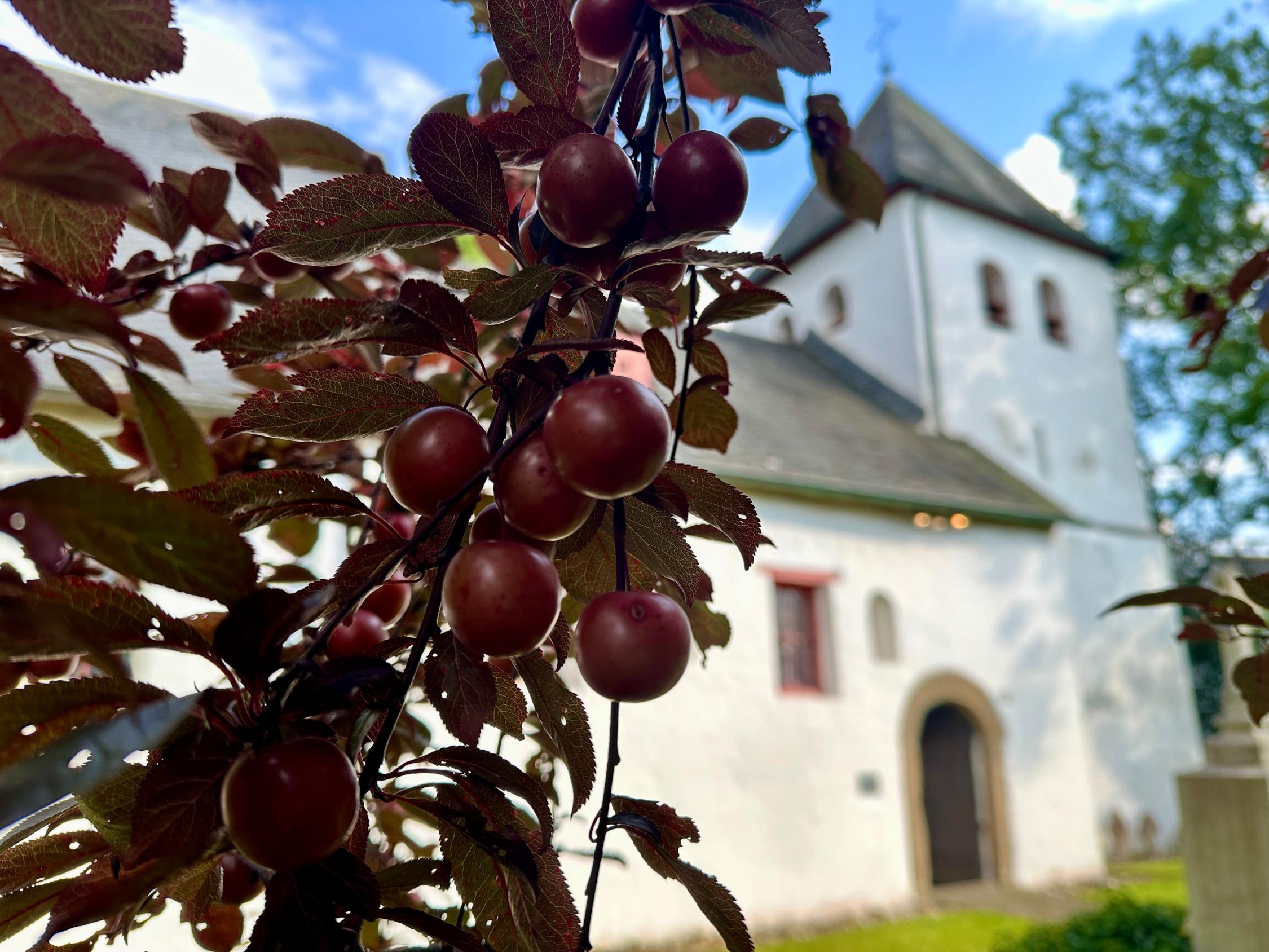 Alte Kirche St. Johann Baptist, Alt-Refrath