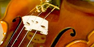 Streichinstrument
