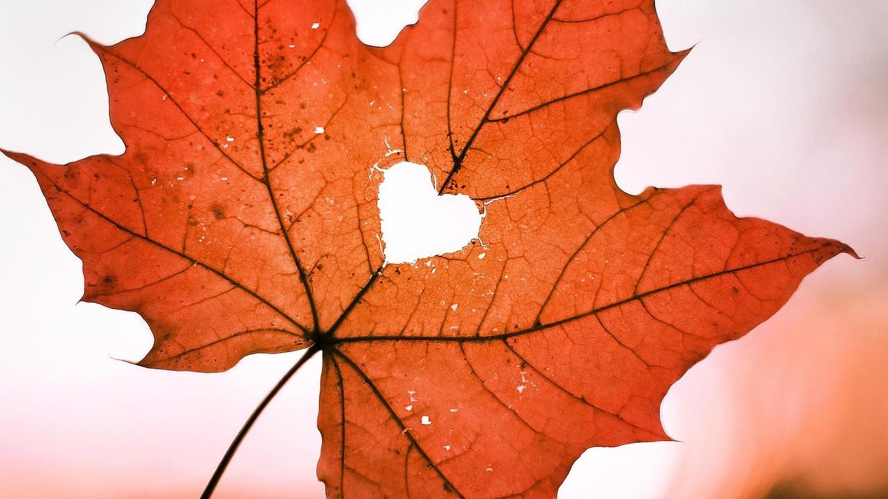 Herbst Liebe