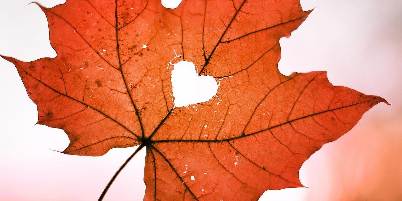 Herbst Liebe
