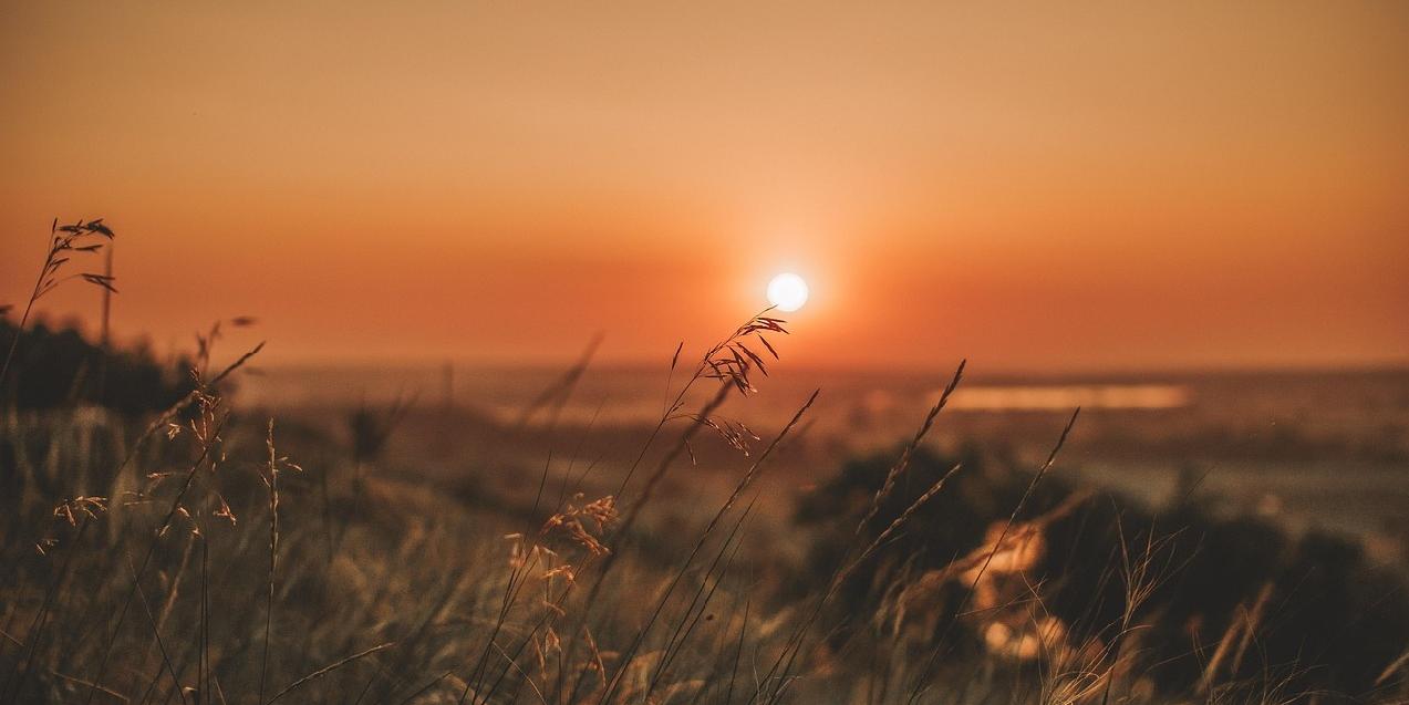 Sommer
