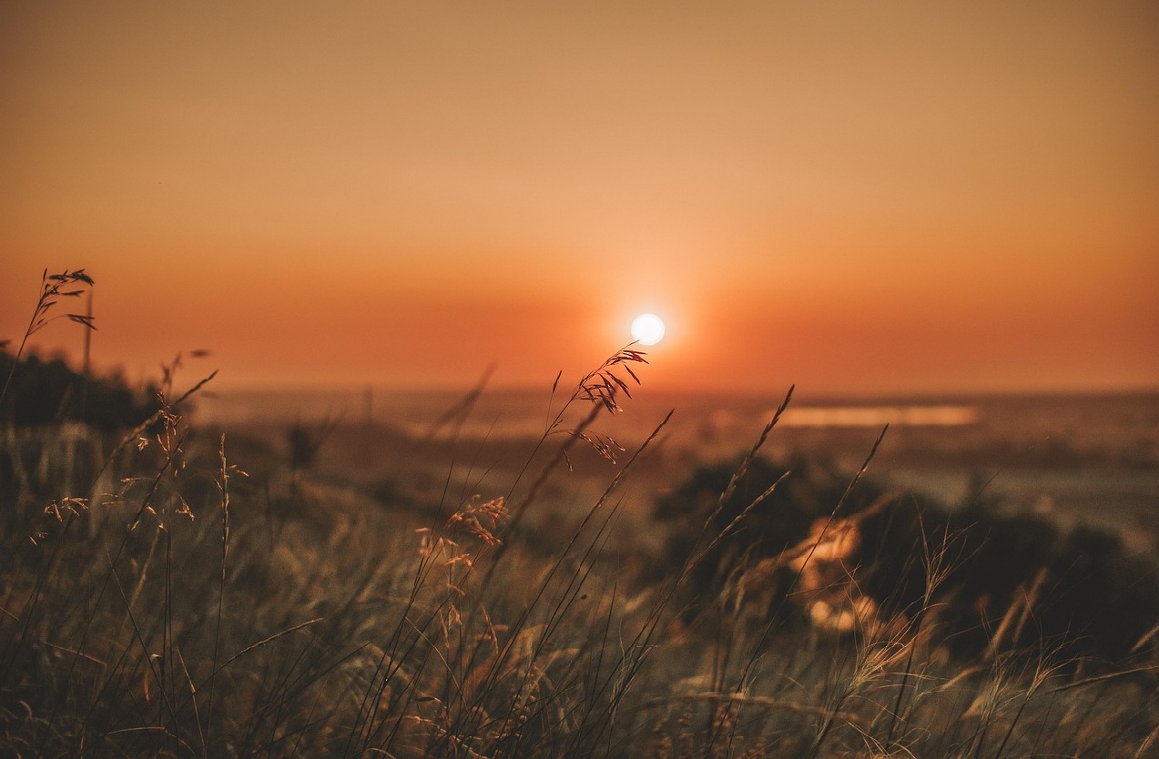Sommer