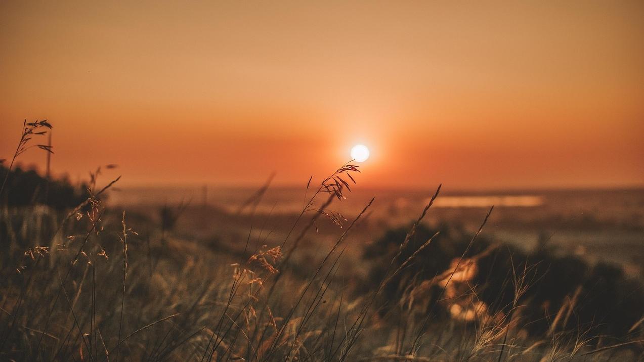 Sommer