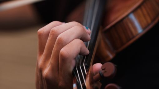 Streichinstrument, Foto: Joel Wyncott, unsplash.com
