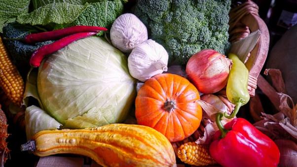 harvest-5159087_640 (1)