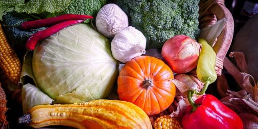 harvest-5159087_640 (1)