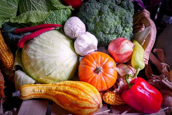 harvest-5159087_640 (1)